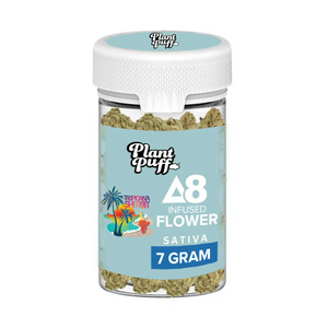 Plant Puff - Tropicana Sherbert Infused Delta 8 Flower